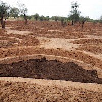 Livelihood Restoration Programs -Half Moon Farming (soil and water retention technique)
